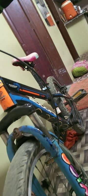 bduofu bicycle 10, 9 condition all good condition argent  sale 24 inhe 3