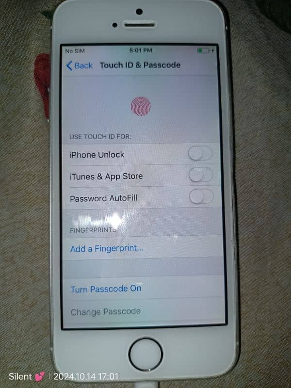 iPhone 5s FingerPrint Working 3