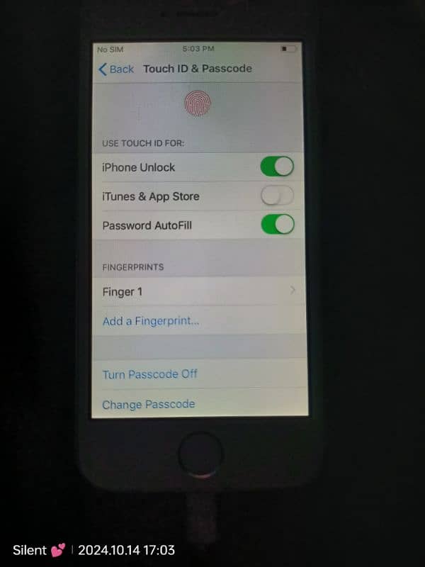 iPhone 5s FingerPrint Working 6