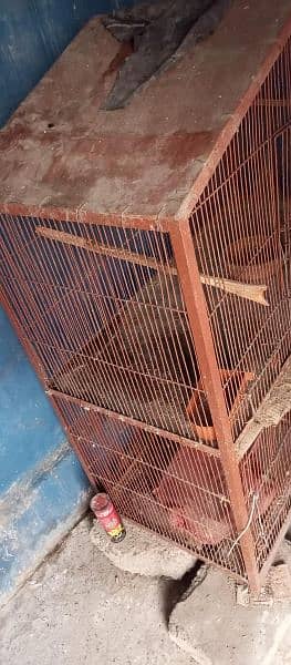 3 portion cage Condition 10/7 1