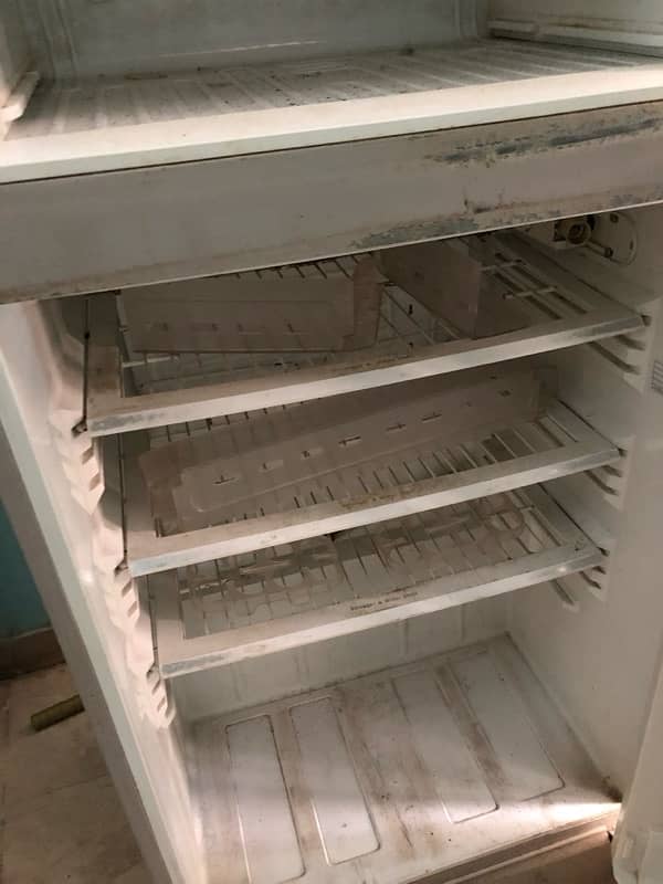 pel artic jumbo size fridge up for urgent sale (read ad) 9