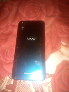 vivo