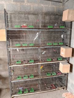 cages for sale / pinjra for sale