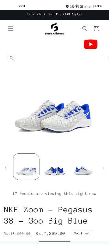 NKE Zoom Pegasus 38 Goo Big Blue 1