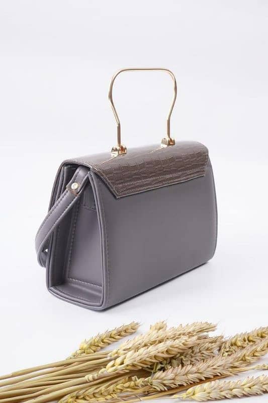 Woman stylish handbag 2