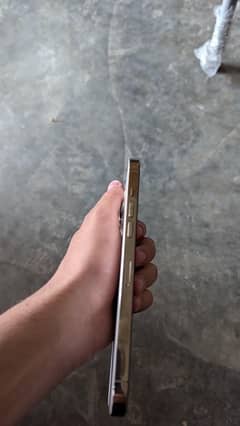 iphone 12 pro max non PTA