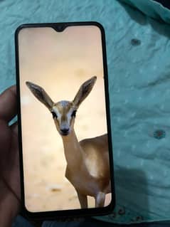 Redmi 9 for sale