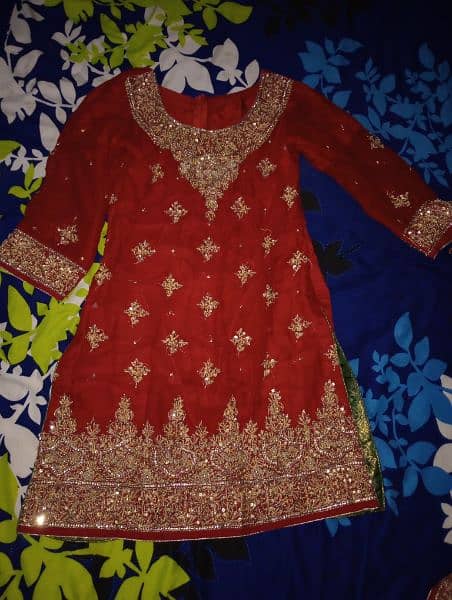 bridal lehnga hand working full embroided 3