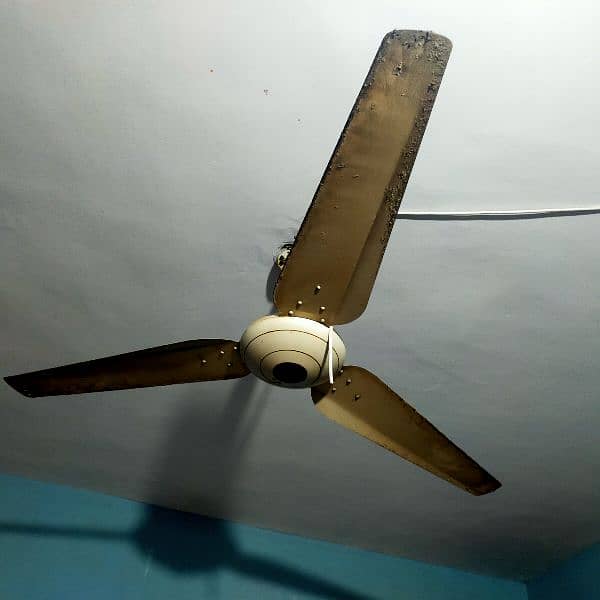 ceiling fan 100% copper 0