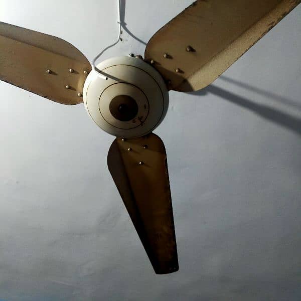 ceiling fan 100% copper 1