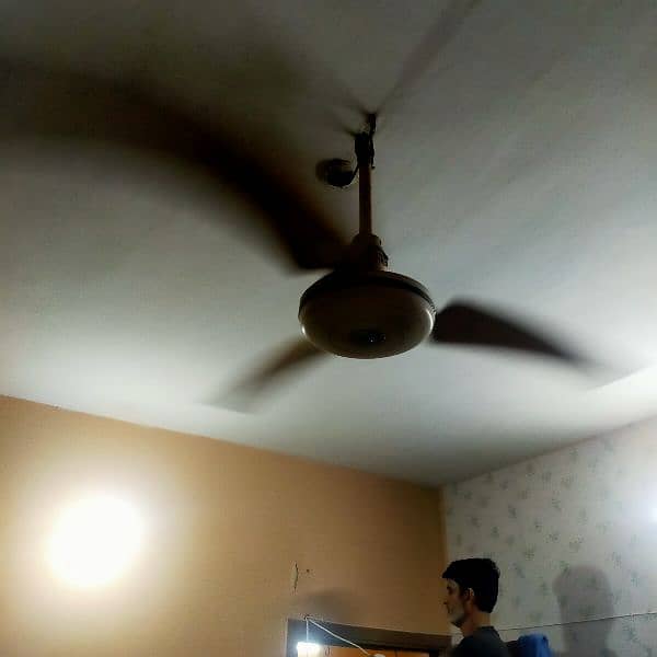 ceiling fan 100% copper 2