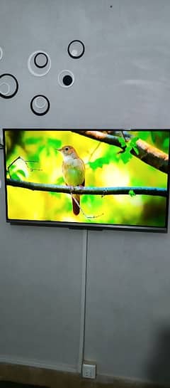 TCL 4K ANDROID LED 43 INCHES