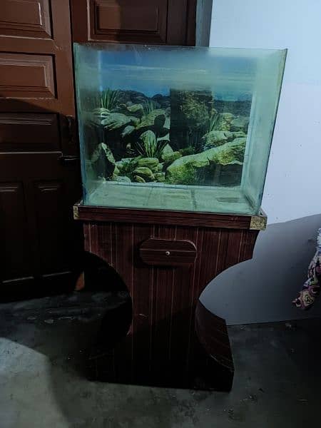 aquarium for sale in the best conditions 1