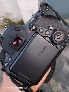 6D mark ii body