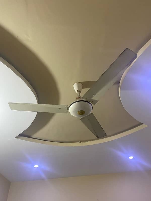 branded fans 2