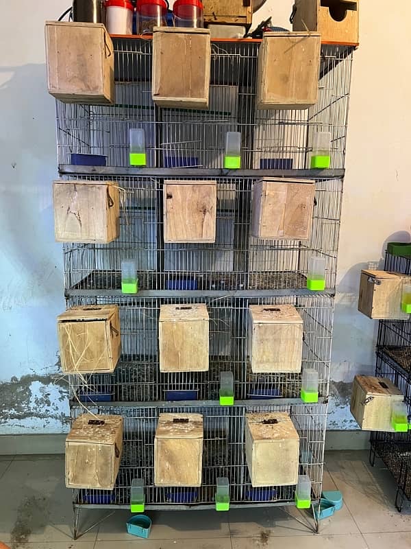 12 Portion Cage For Sale With Box 1