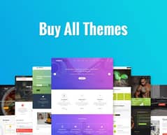 WordPress themes and Plugins