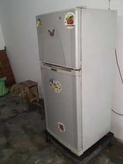 Fridge and Freezer 0