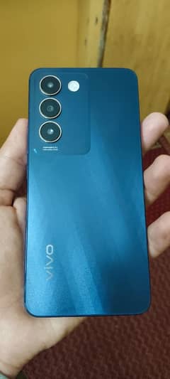 vivo