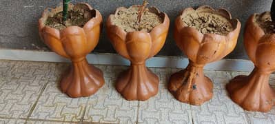 Plants Pots for sale