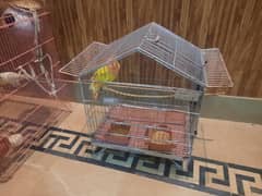 only cage for sale only 1000 rs