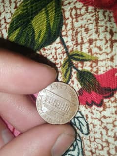 Rare coin 0