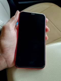 iphone 11 64gb now pta full original