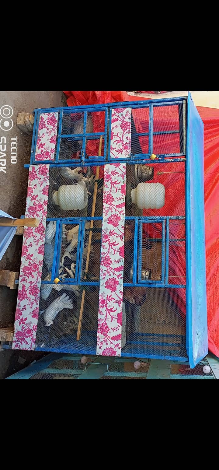 New condition iron cage hen and bird cage watsap (03150505809) 1