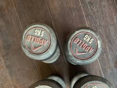 gym dumbells pair 5kg