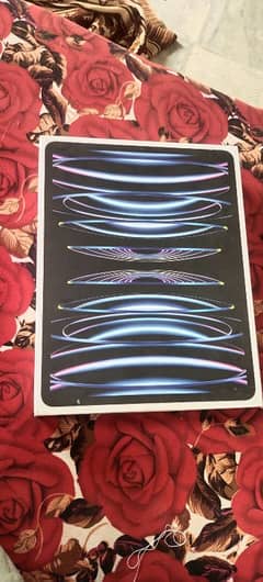 ipad pro m2 12.9 { 6th generation } 0