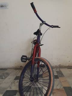 Phoenix cycle size 20 wheeling cycle