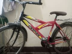 Caspian cycle for sale