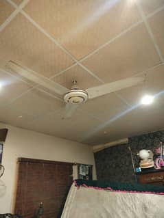 02 Celling fans for sale