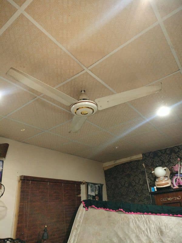 02 Celling fans for sale 0