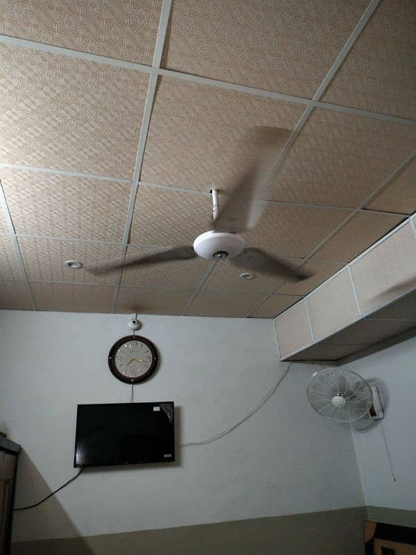 02 Celling fans for sale 1