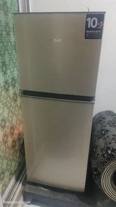 Haier mini fridge