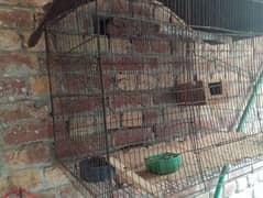 bird cage for sale