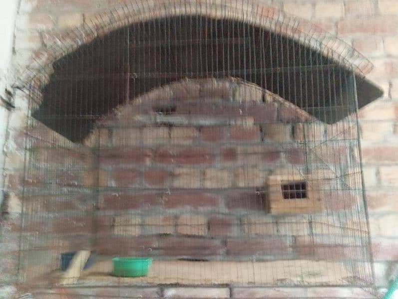 bird cage for sale 2