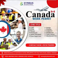 Transform Your Career: Canada Work & Study Visas Available Now!"