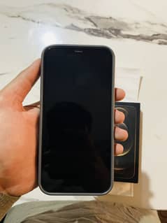 iPhone 12 Pro Max 256GB PTA  physical dual sim 0