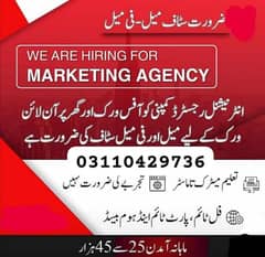 male female staff in office work and home base 03110429736 WhatsApp