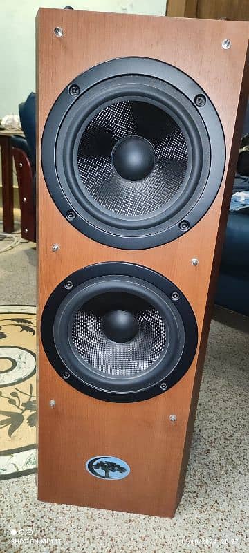 Cypress Sub-Woofer Dual-Drivers 8×2 Inches 250 Watts Dynamic Powered 2