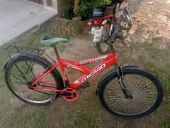 cycle for sale of chicaeo