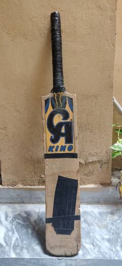 Hard ball cricket bat