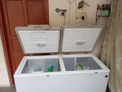 Two Door PEL Deep Freezer