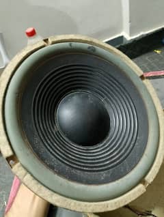 10 Inch 200 Watt Speaker