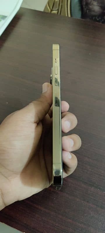 Iphone 13 Pro Max Non PTA 4