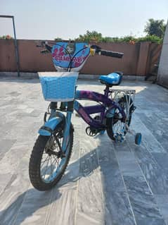 Camery imported bicycle is available for selling