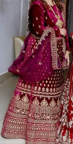 Indian Bridal Lehnga Heavy Embroidery  Medium Size 0