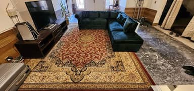 Large living space rug